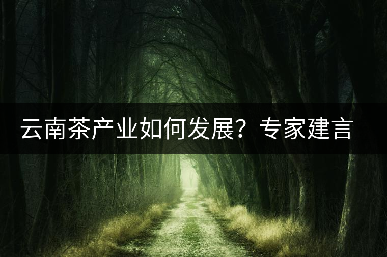 云南茶產(chǎn)業(yè)如何發(fā)展？專家建言：產(chǎn)業(yè)復(fù)興助脫貧