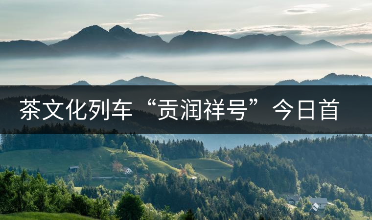 茶文化列車“貢潤祥號”今日首發(fā) 普洱茶膏搭上高鐵走出云南 茶文化列車“貢潤祥號”今日首發(fā) 普洱茶膏搭上高鐵走出云南