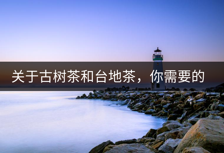 關(guān)于古樹(shù)茶和臺(tái)地茶，你需要的知識(shí)全在這里了