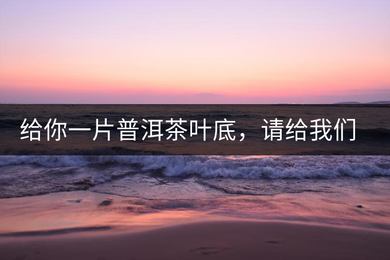 給你一片普洱茶葉底，請給我們聊聊它的生態(tài)和樹齡