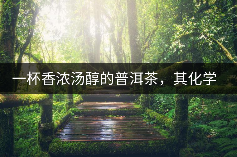 一杯香濃湯醇的普洱茶，其化學(xué)成分是怎樣的？