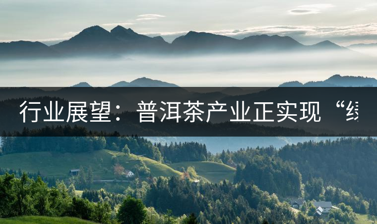 行業(yè)展望:普洱茶產(chǎn)業(yè)正實現(xiàn)“綠色崛起” 行業(yè)展望:普洱茶產(chǎn)業(yè)正實現(xiàn)“綠色崛起”