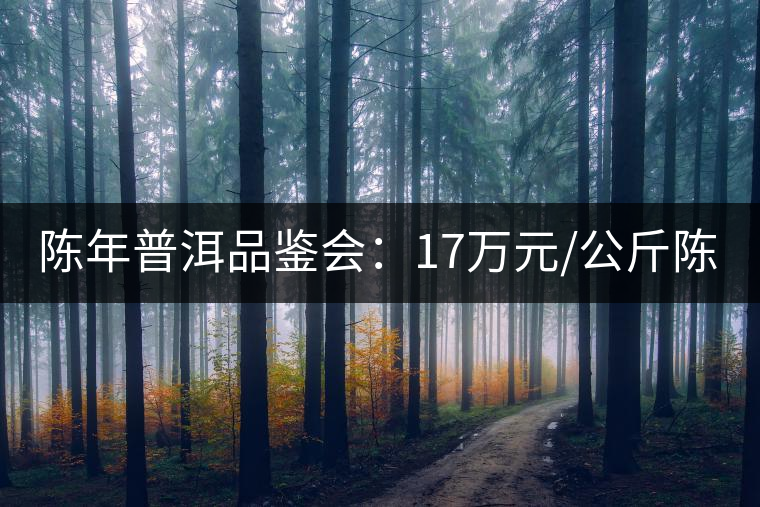 陳年普洱品鑒會:17萬元/公斤陳茶 天月茶城免費喝 陳年普洱品鑒會:17萬元/公斤陳茶 天月茶城免費喝