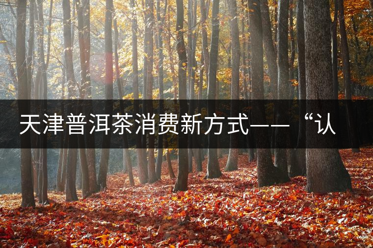 天津普洱茶消費新方式——“認養(yǎng)”勐海古茶樹