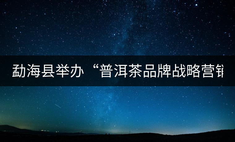 勐?？h舉辦“普洱茶品牌戰(zhàn)略營銷專題講座”