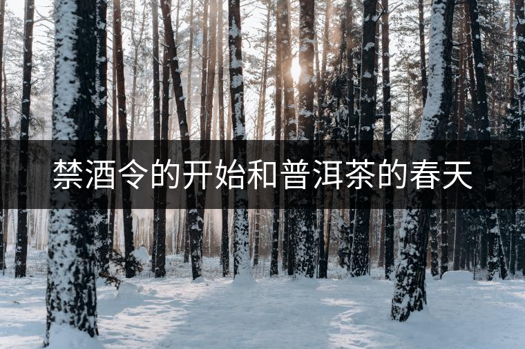 禁酒令的開始和普洱茶的春天 禁酒令的開始和普洱茶的春天