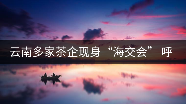 云南多家茶企現(xiàn)身“海交會(huì)” 呼吁普洱茶投資應(yīng)理性 云南多家茶企現(xiàn)身“海交會(huì)” 呼吁普洱茶投資應(yīng)理性