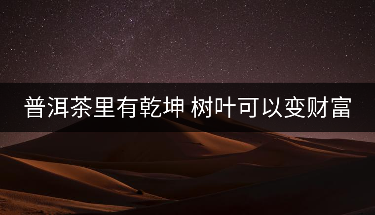 普洱茶里有乾坤 樹葉可以變財(cái)富 普洱茶里有乾坤 樹葉可以變財(cái)富