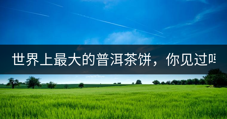 世界上最大的普洱茶餅，你見過嗎？