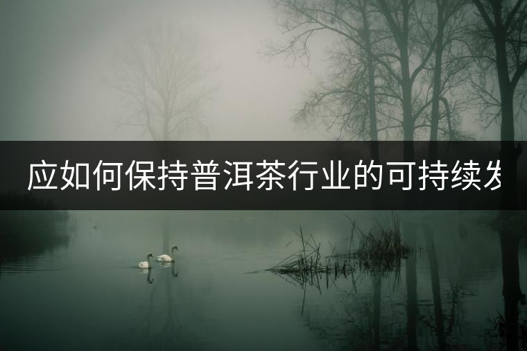 應(yīng)如何保持普洱茶行業(yè)的可持續(xù)發(fā)展？