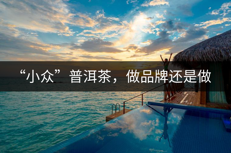 “小眾”普洱茶，做品牌還是做圈子？
