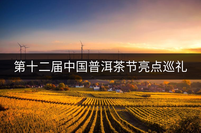 第十二屆中國普洱茶節(jié)亮點(diǎn)巡禮