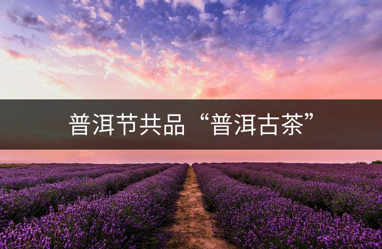普洱節(jié)共品“普洱古茶” 普洱節(jié)共品“普洱古茶”