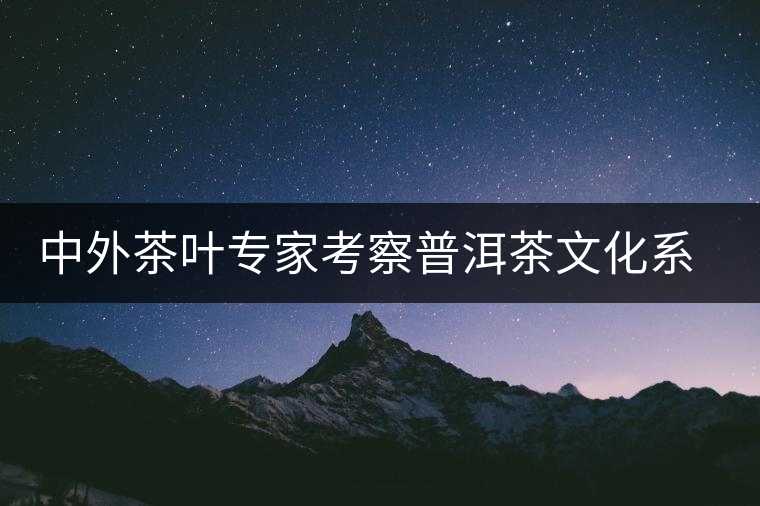 中外茶葉專家考察普洱茶文化系統(tǒng)