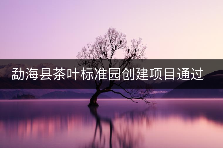 勐海縣茶葉標(biāo)準(zhǔn)園創(chuàng)建項(xiàng)目通過省級(jí)驗(yàn)收 勐海縣茶葉標(biāo)準(zhǔn)園創(chuàng)建項(xiàng)目通過省級(jí)驗(yàn)收
