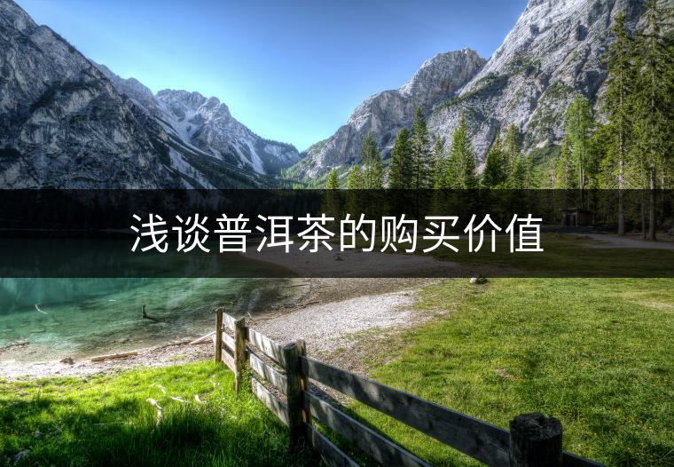 淺談普洱茶的購(gòu)買(mǎi)價(jià)值