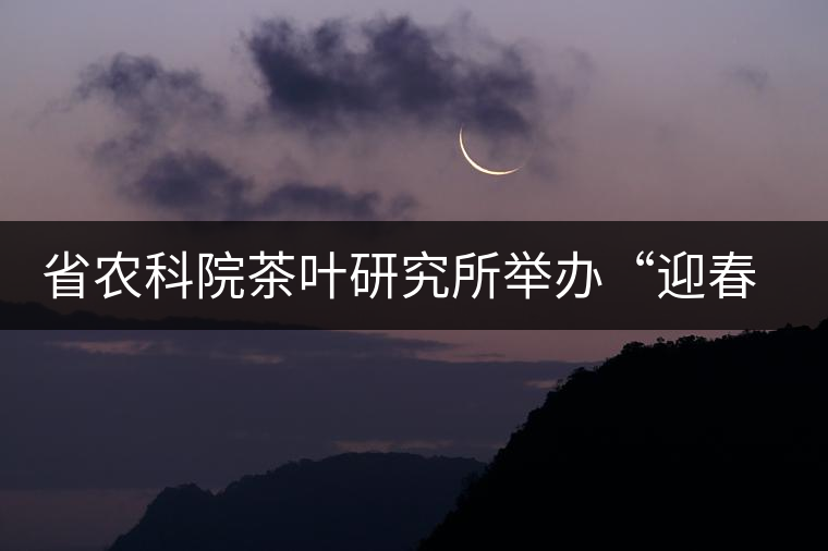 省農(nóng)科院茶葉研究所舉辦“迎春節(jié)、慶元旦”籃球聯(lián)誼賽