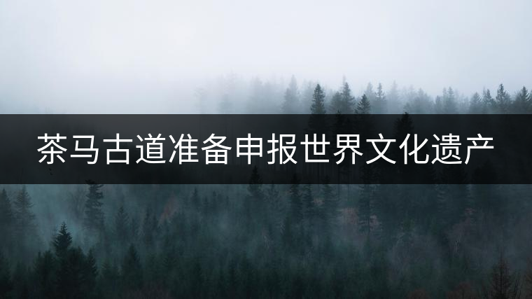 茶馬古道準(zhǔn)備申報世界文化遺產(chǎn)