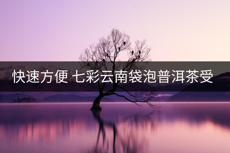 快速方便 七彩云南袋泡普洱茶受京城白領認可