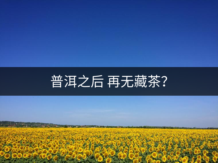 普洱之后 再無藏茶？