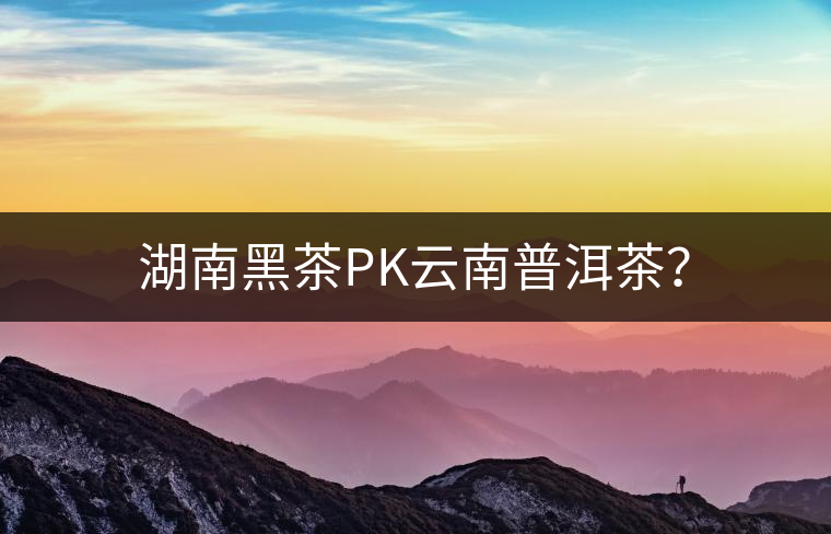 湖南黑茶PK云南普洱茶？