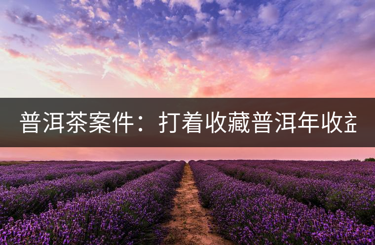 普洱茶案件：打著收藏普洱年收益不低于16%，非法吸收公眾存款