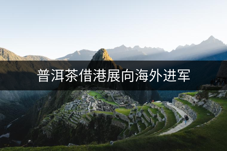 普洱茶借港展向海外進軍 普洱茶借港展向海外進軍