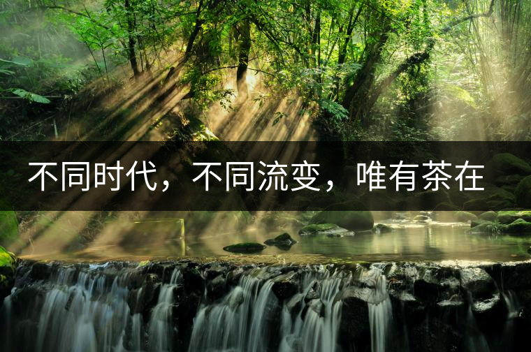 不同時代，不同流變，唯有茶在傳承