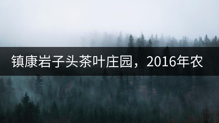 鎮(zhèn)康巖子頭茶葉莊園，2016年農(nóng)業(yè)產(chǎn)值達(dá)6000余萬(wàn)元