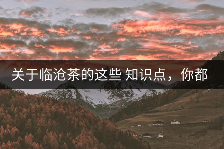 關(guān)于臨滄茶的這些 知識(shí)點(diǎn)，你都知道嗎？