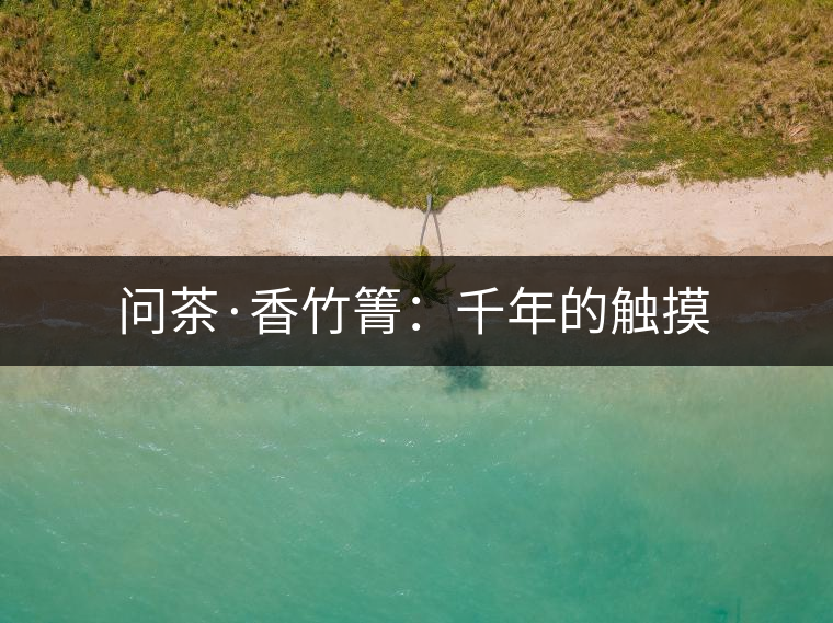 問(wèn)茶·香竹箐：千年的觸摸
