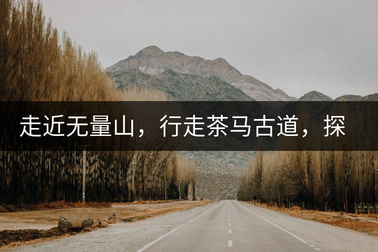 走近無量山，行走茶馬古道，探訪云南千年茶山