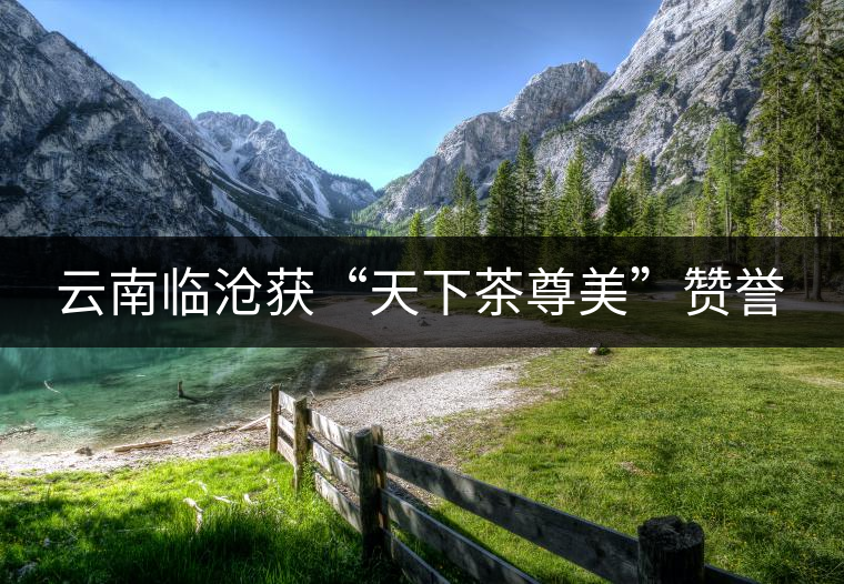 云南臨滄獲“天下茶尊美”贊譽