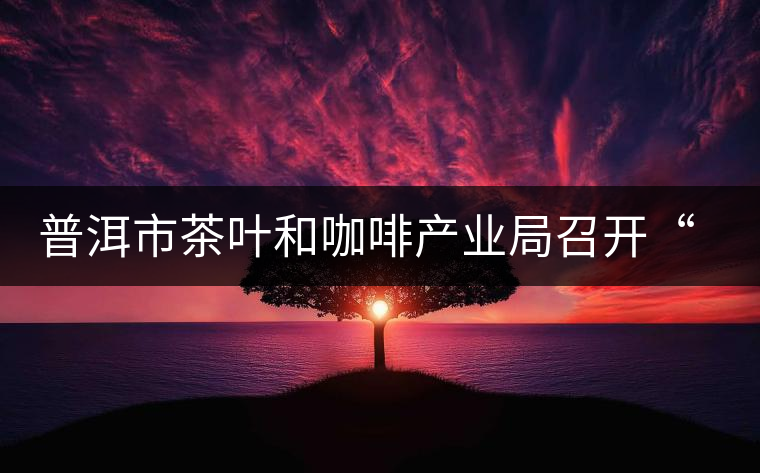 普洱市茶葉和咖啡產業(yè)局召開“新三板”培訓座談會