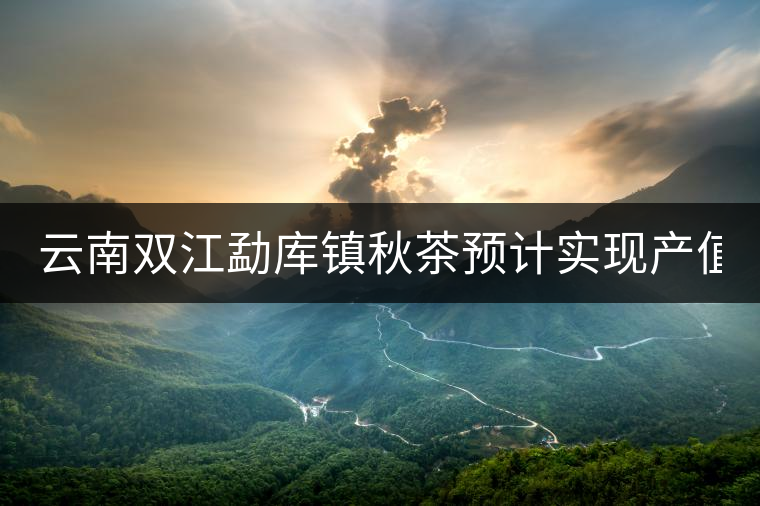 云南雙江勐庫鎮(zhèn)秋茶預(yù)計實(shí)現(xiàn)產(chǎn)值3560萬元