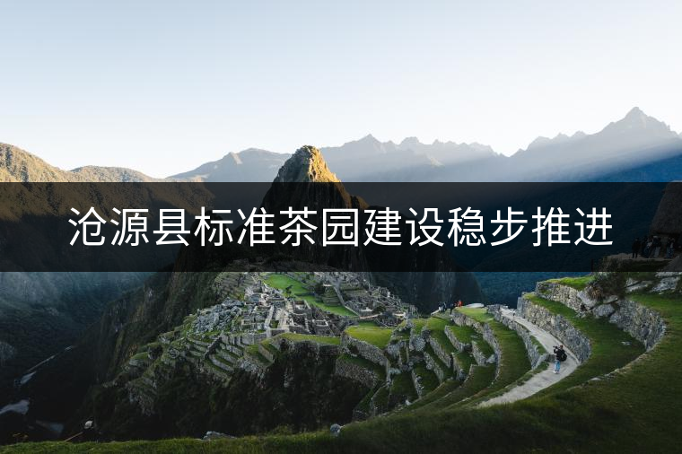 滄源縣標(biāo)準(zhǔn)茶園建設(shè)穩(wěn)步推進 滄源縣標(biāo)準(zhǔn)茶園建設(shè)穩(wěn)步推進