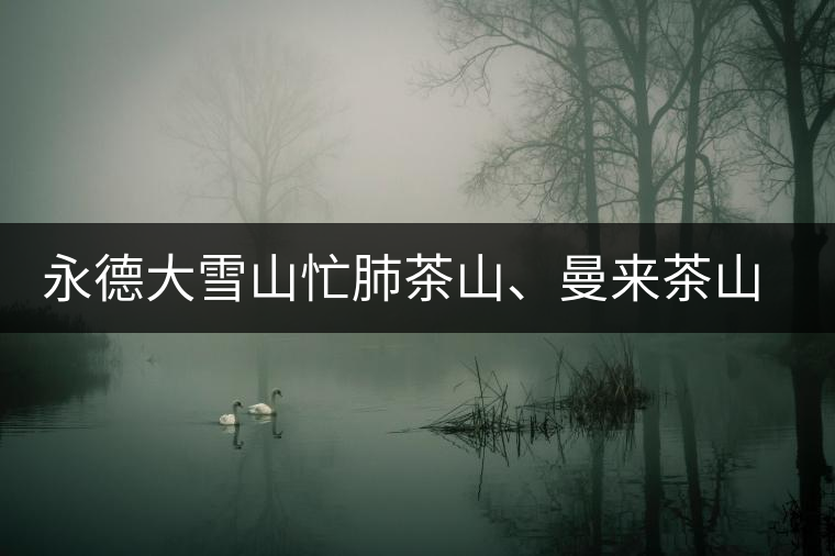 永德大雪山忙肺茶山、曼來(lái)茶山、放牛場(chǎng)茶園的生態(tài)指數(shù)