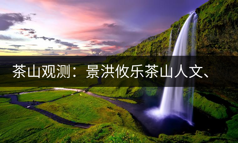 茶山觀測：景洪攸樂茶山人文、生態(tài)指數(shù)