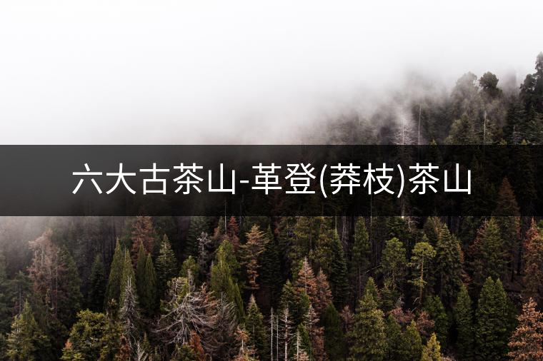 六大古茶山-革登(莽枝)茶山