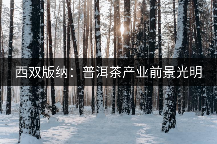 西雙版納：普洱茶產(chǎn)業(yè)前景光明