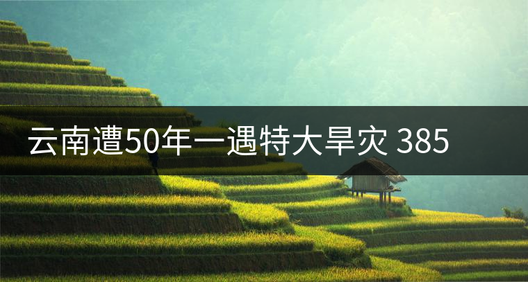 云南遭50年一遇特大旱災(zāi) 385萬人飲水困難