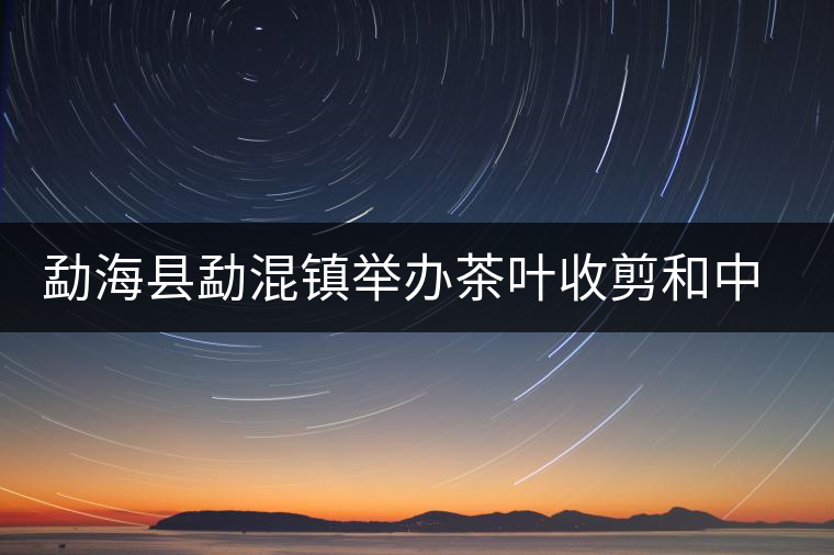 勐?？h勐混鎮(zhèn)舉辦茶葉收剪和中耕培土現(xiàn)場培訓(xùn)會