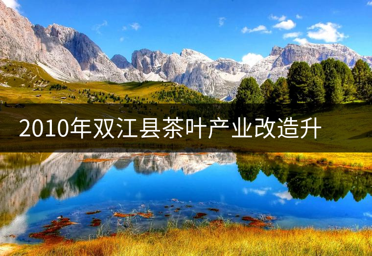 2010年雙江縣茶葉產(chǎn)業(yè)改造升級(jí)步伐加快 2010年雙江縣茶葉產(chǎn)業(yè)改造升級(jí)步伐加快