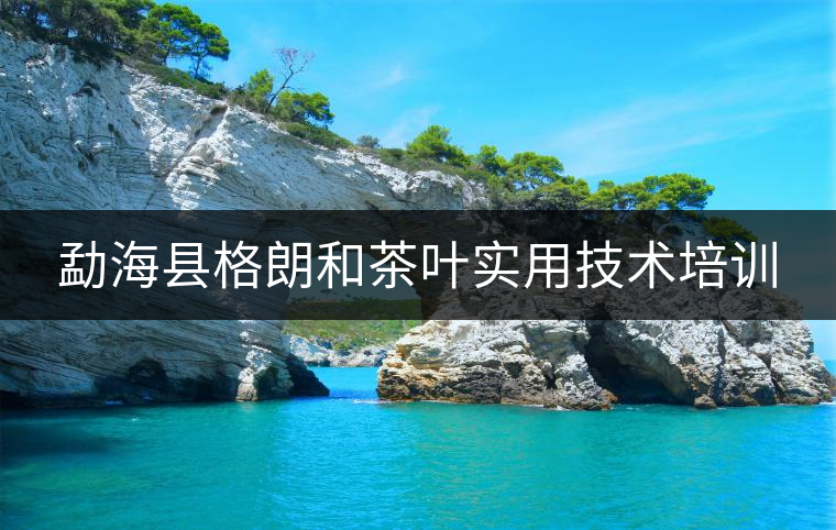 勐?？h格朗和茶葉實(shí)用技術(shù)培訓(xùn)