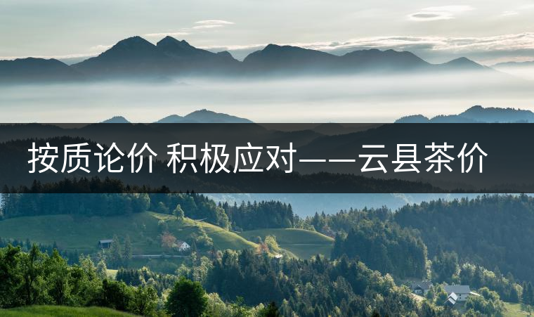 按質(zhì)論價(jià) 積極應(yīng)對——云縣茶價(jià)實(shí)現(xiàn)理性回歸 按質(zhì)論價(jià) 積極應(yīng)對——云縣茶價(jià)實(shí)現(xiàn)理性回歸