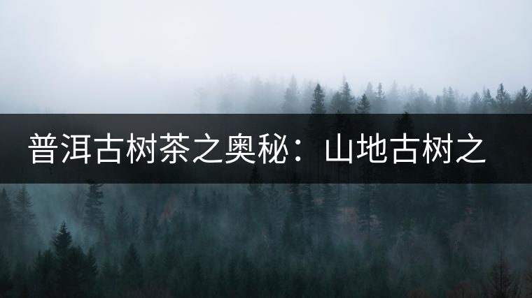 普洱古樹茶之奧秘:山地古樹之美 普洱古樹茶之奧秘:山地古樹之美