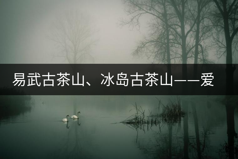 易武古茶山、冰島古茶山——愛茶人的旅游選擇