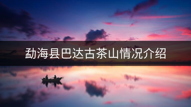 勐?？h巴達(dá)古茶山情況介紹