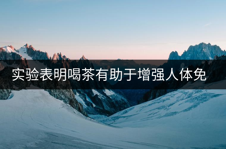 實驗表明喝茶有助于增強人體免疫力