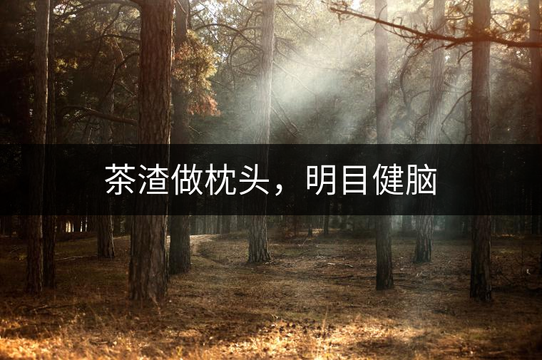 茶渣做枕頭，明目健腦